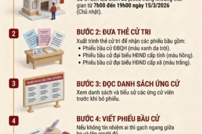 Ngày bầu cử toàn dân